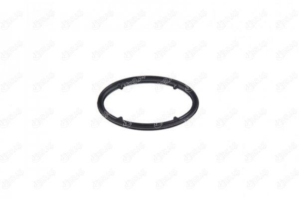 IBRAS Seal, oil filter Article number: 21177 cheaply