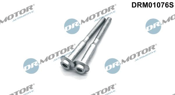 DR.MOTOR AUTOMOTIVE DRM01076S Screw, injection nozzle holder PASSAT 1.6 TDI 105 PS Diesel 2011