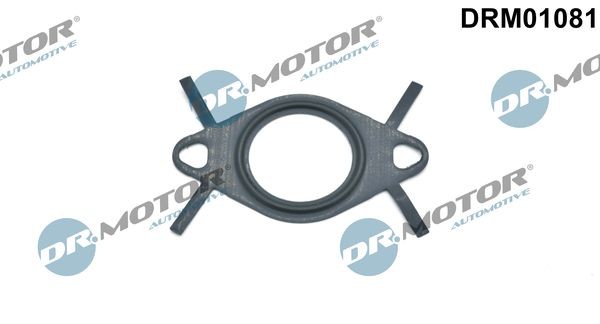DR.MOTOR AUTOMOTIVE Gasket, EGR valve pipe Article number: DRM01081 cheaply
