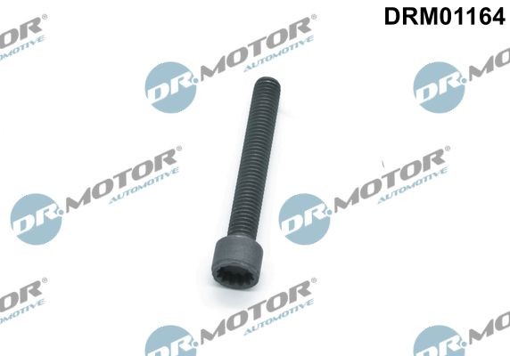 DR.MOTOR AUTOMOTIVE Screw, injection nozzle holder Article number: DRM01164 cheaply