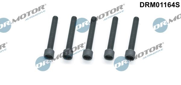 DR.MOTOR AUTOMOTIVE Screw, injection nozzle holder Article number: DRM01164S cheaply