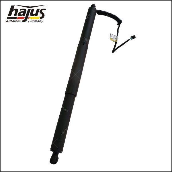 hajus Autoteile Fan, radiator Article number: 1211316 cheaply