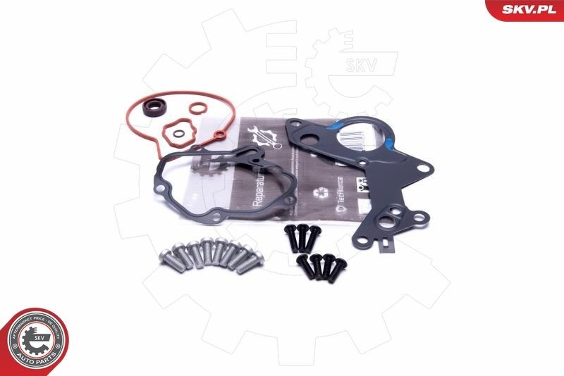 ESEN SKV 18SKV801 Remondikomplekt, vaakumpump(pidurisüsteem) PASSAT 1.9 TDI 130 HP Diisel 2005
