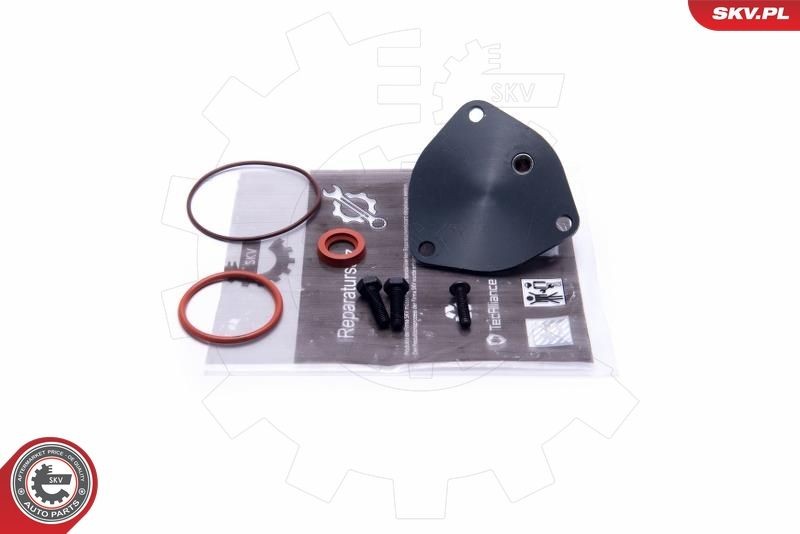 ESEN SKV 18SKV806 Remondikomplekt, vaakumpump(pidurisüsteem) TOLEDO 1.9 D 68 HP Diisel 1999