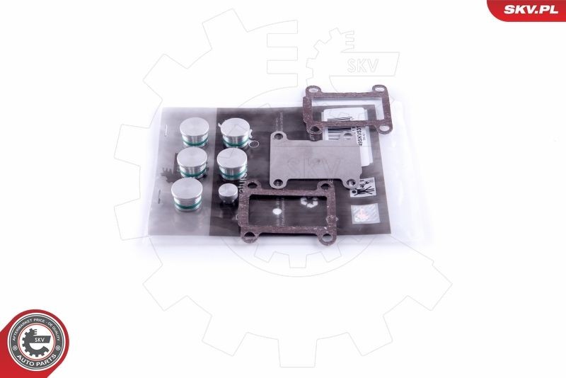 ESEN SKV 49SKV531 Repair Kit, intake manifold module THESIS 2.4 JTD (841.AXE1B0, 841.AXH110) 175 PS Diesel 2009