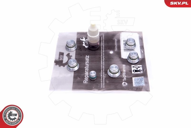 ESEN SKV 49SKV533 Repair Kit, intake manifold module THESIS 2.4 JTD (841.AXE1B0, 841.AXH110) 163 PS Diesel 2009