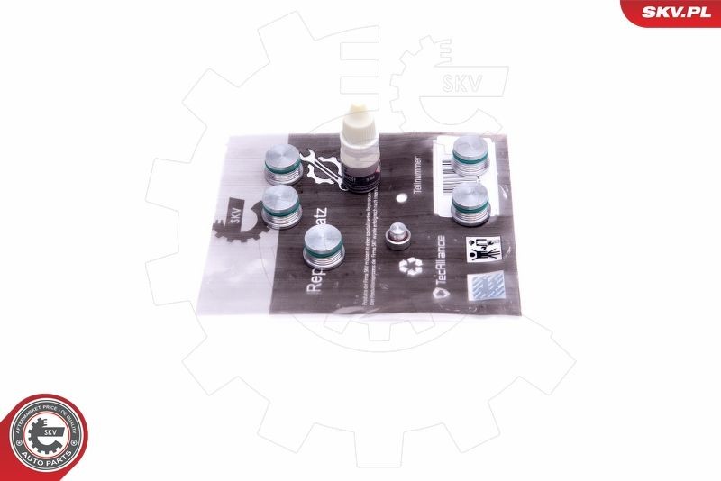 ESEN SKV 49SKV537 Repair Kit, intake manifold module THESIS 2.4 JTD (841.AXE1B0, 841.AXH110) 175 PS Diesel 2009