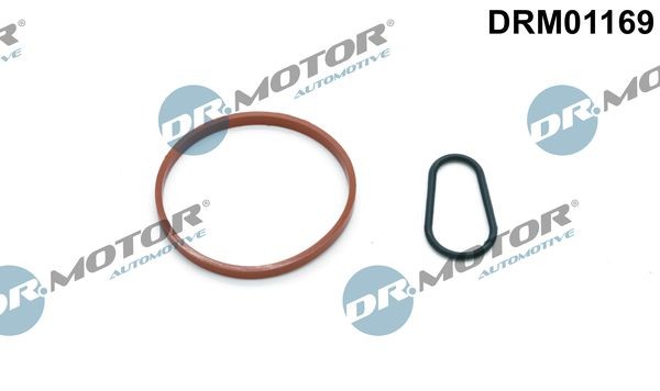 DR.MOTOR AUTOMOTIVE Tihendikomplekt, vaakumpump Artikli number: DRM01169 soodsalt