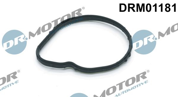DR.MOTOR AUTOMOTIVE Gasket, thermostat Article number: DRM01181 cheaply