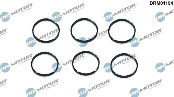 DR.MOTOR AUTOMOTIVE Sealing Ring, spark plug shaft Article number: DRM01194 cheaply
