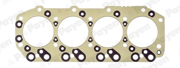 PAYEN Gasket, cylinder head Article number: BR991 cheaply