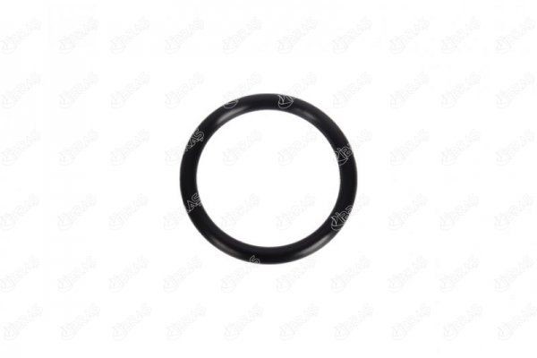 IBRAS Seal, throttle body Article number: 11070 cheaply