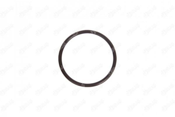 IBRAS Seal, turbo air hose Article number: 14729 cheaply