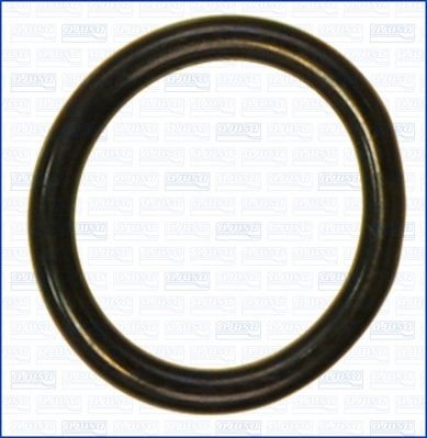 AJUSA Gasket, thermostat Article number: 16098500 cheaply