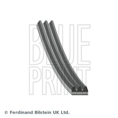 BLUE PRINT Serpentine belt Article number: AD03R872 cheaply