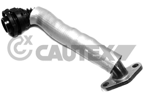 CAUTEX Oil Pipe, charger Article number: 772275 cheaply