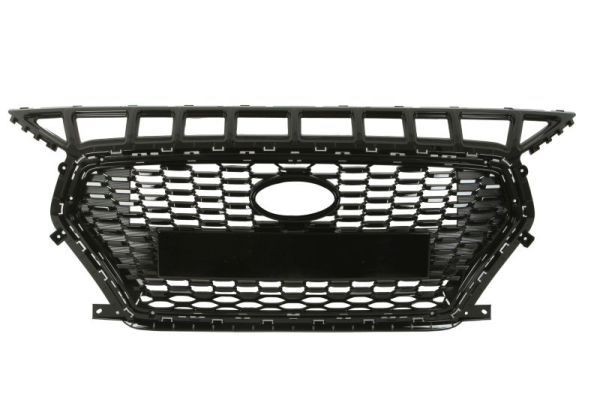 BLIC Radiator Grille Article number: 6502-07-3137991P cheaply