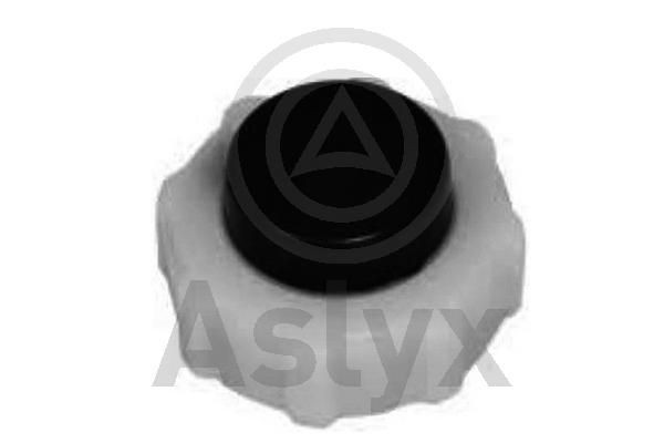 Aslyx Expansion tank cap Article number: AS-201260 cheaply