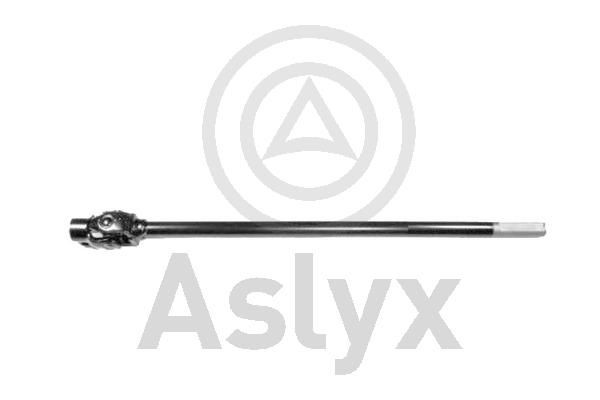 Aslyx AS-203175 Joint, steering column DUCATO 1.9 TD Combinato 80 PS Diesel 2002