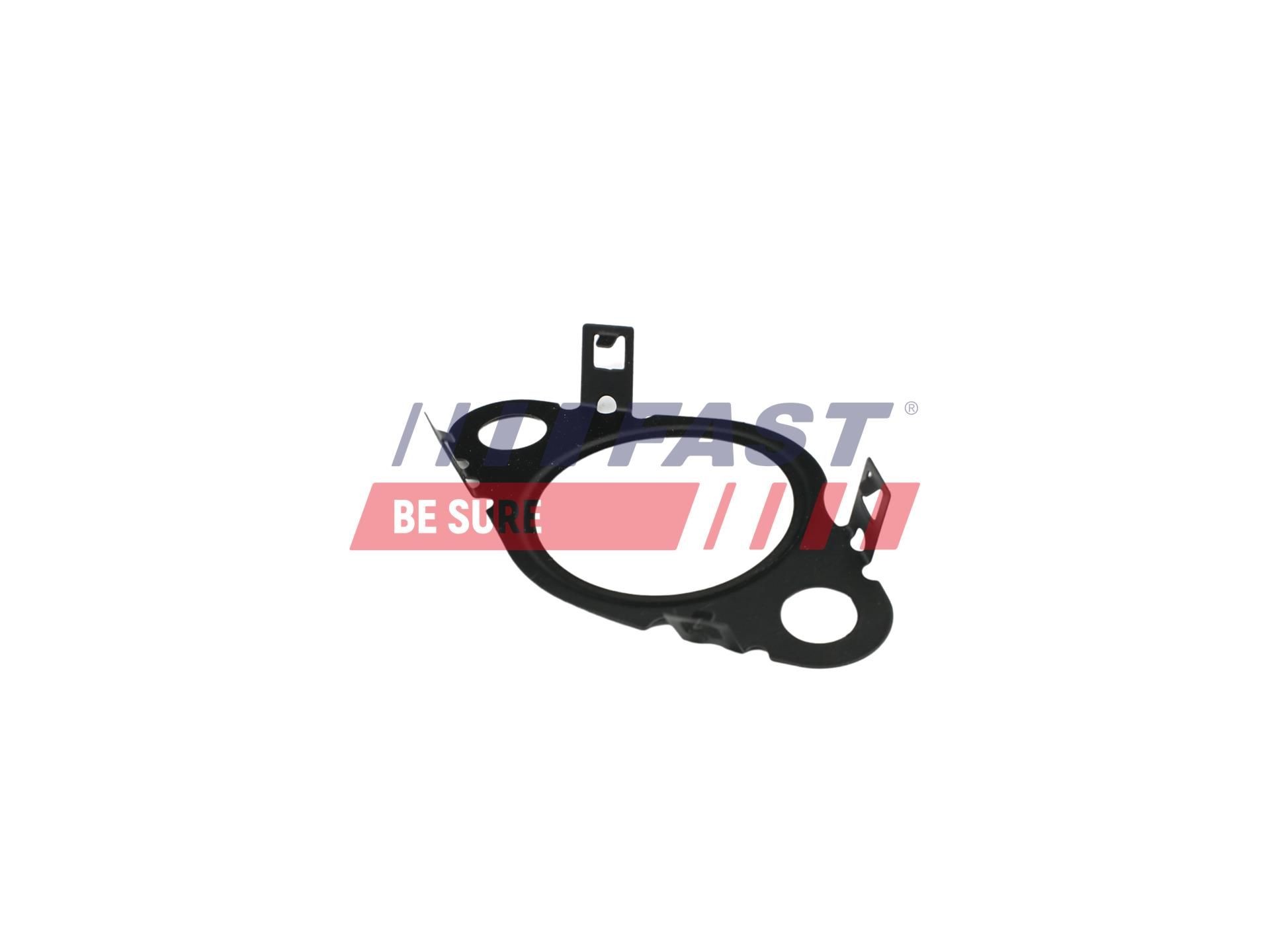 FAST Seal, EGR valve Article number: FT50603 cheaply