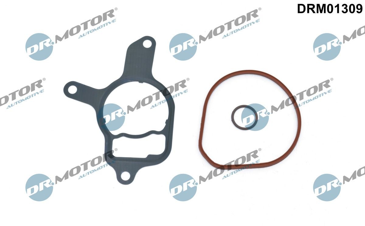 DR.MOTOR AUTOMOTIVE Seal Set, vacuum pump Article number: DRM01309 cheaply