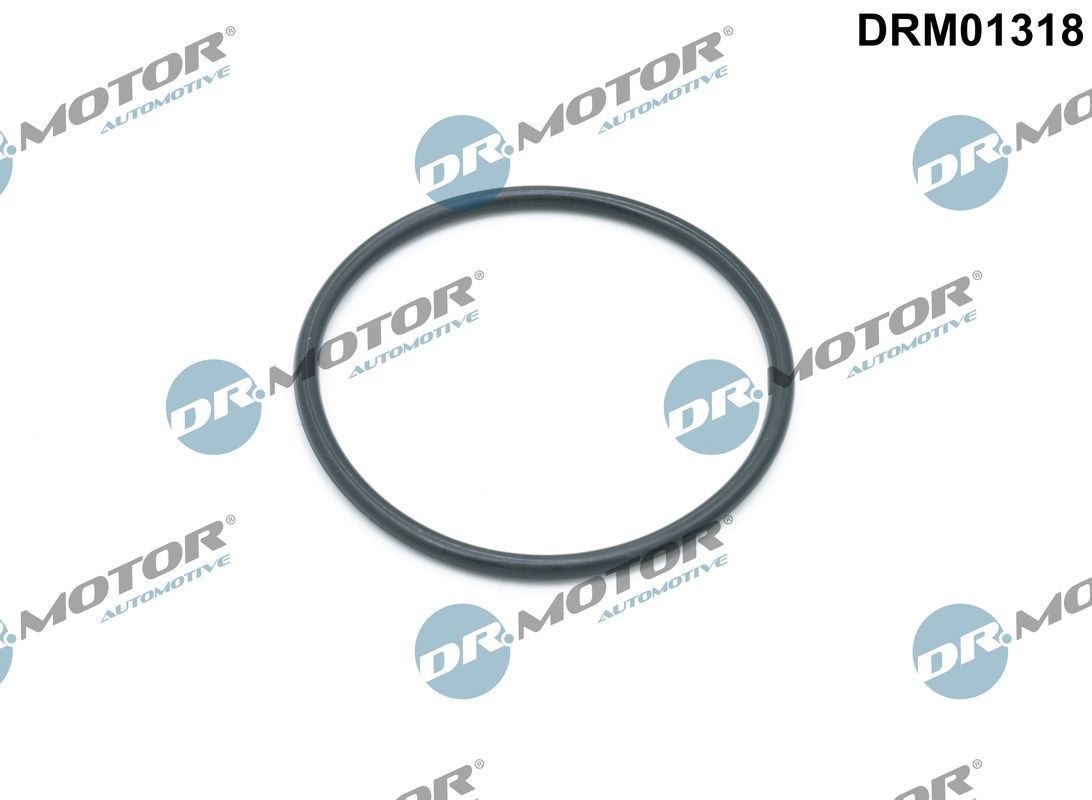 DR.MOTOR AUTOMOTIVE Seal, oil filter housing Article number: DRM01318 cheaply