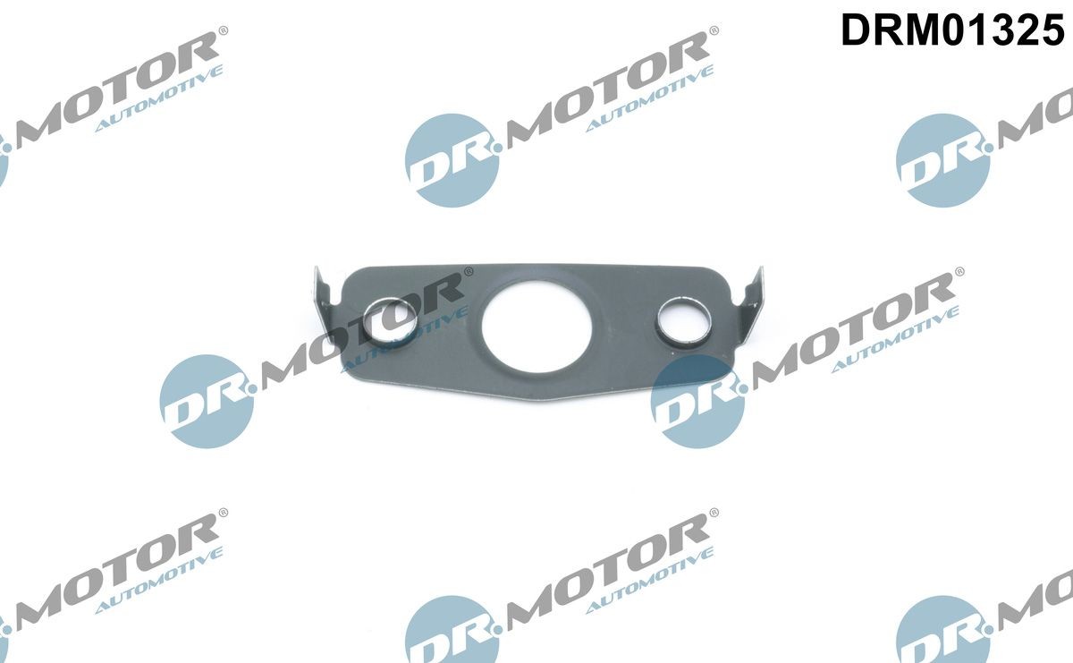 DR.MOTOR AUTOMOTIVE Seal, oil outlet (charger) Article number: DRM01325 cheaply
