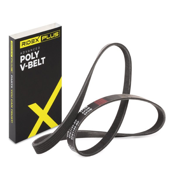 RIDEX PLUS Serpentine belt Article number: 305P0501P cheaply