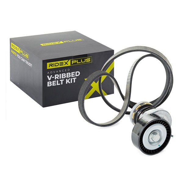 RIDEX PLUS V-Ribbed Belt Set Article number: 542R0008P cheaply