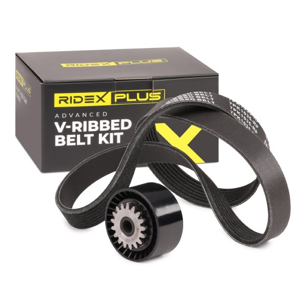 RIDEX PLUS V-Ribbed Belt Set Article number: 542R0017P cheaply