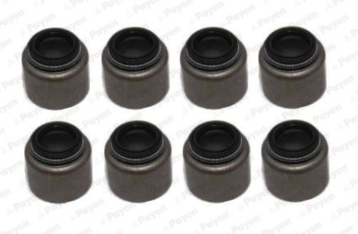 PAYEN Seal Set, valve stem Article number: HR5153 cheaply