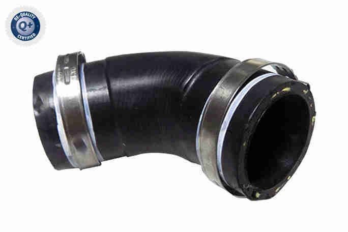 VAICO Radiator hose Article number: V24-1282 cheaply