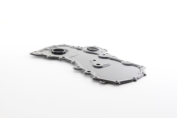 BSG BSG 30-122-054 Timing Case TRANSIT CUSTOM 2.0 EcoBlue 130 PS Diesel