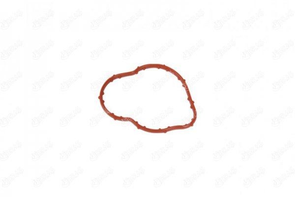 IBRAS Seal, coolant tube Article number: 11034 cheaply