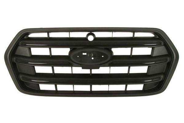 BLIC Radiator Grille Article number: 6502-07-2517990PP cheaply