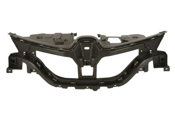 BLIC Radiator Grille Article number: 6502-07-6013992P cheaply