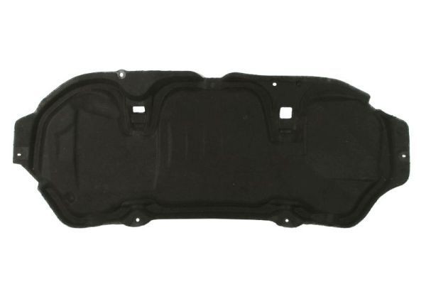 BLIC 6804-00-6041290P Silencing Material, engine bay MEGANE 1.9 dCi 120 PS Diesel
