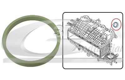 3RG Inlet manifold gasket Article number: 36704 cheaply