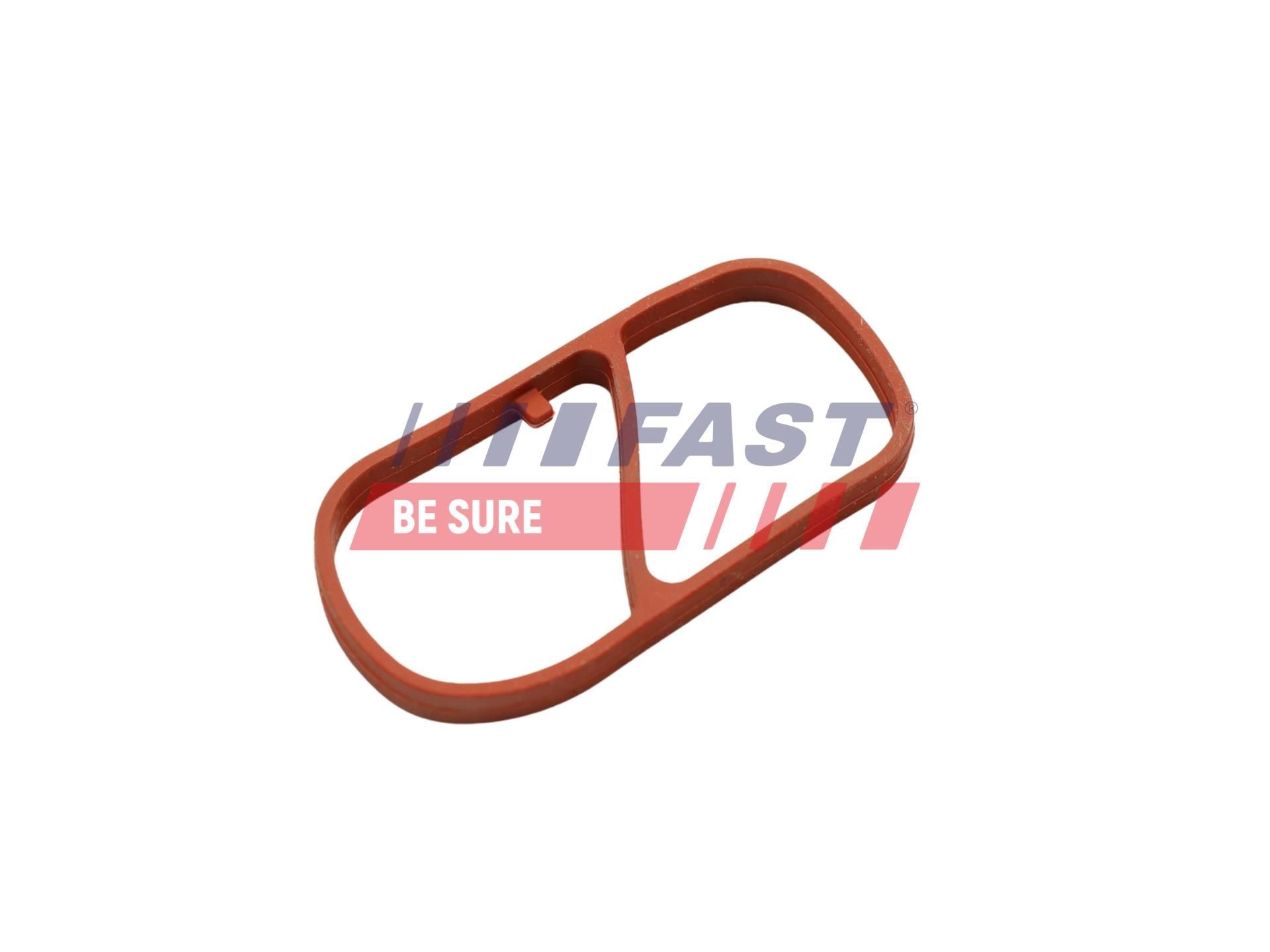 FAST Inlet manifold gasket Article number: FT49454 cheaply