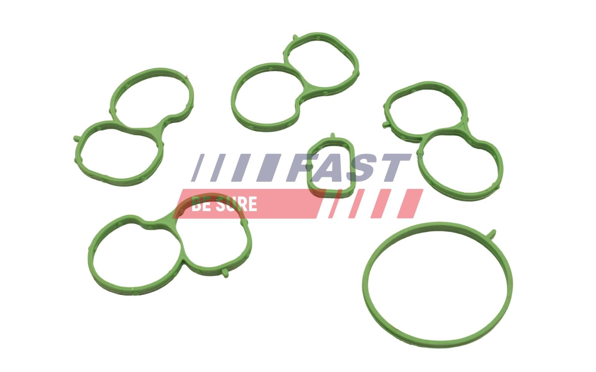 FAST Gasket Set, intake manifold Article number: FT49455 cheaply
