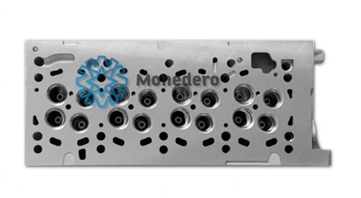 MONEDERO Cylinder Head Article number: 80012000005 cheaply
