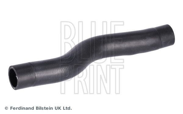 BLUE PRINT Radiator hose Article number: ADBP930009 cheaply