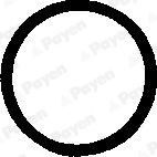 PAYEN Seal Ring, cylinder head cover bolt Article number: PB248 cheaply