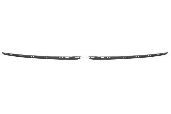 BLIC Bumper moulding Article number: 6502-07-0538922P cheaply