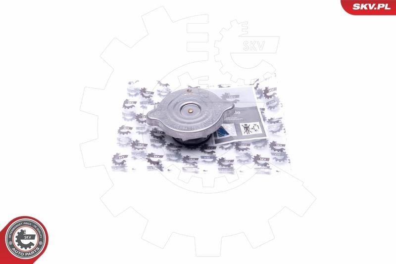 ESEN SKV Expansion tank cap Article number: 61SKV004 cheaply