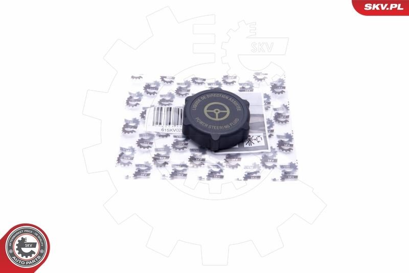 ESEN SKV Seal, power steering pump blanking plug Article number: 61SKV029 cheaply