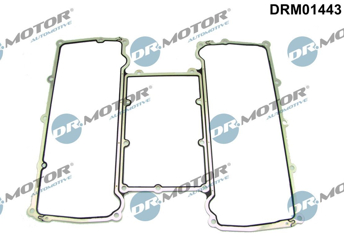 DR.MOTOR AUTOMOTIVE Inlet manifold gasket Article number: DRM01443 cheaply