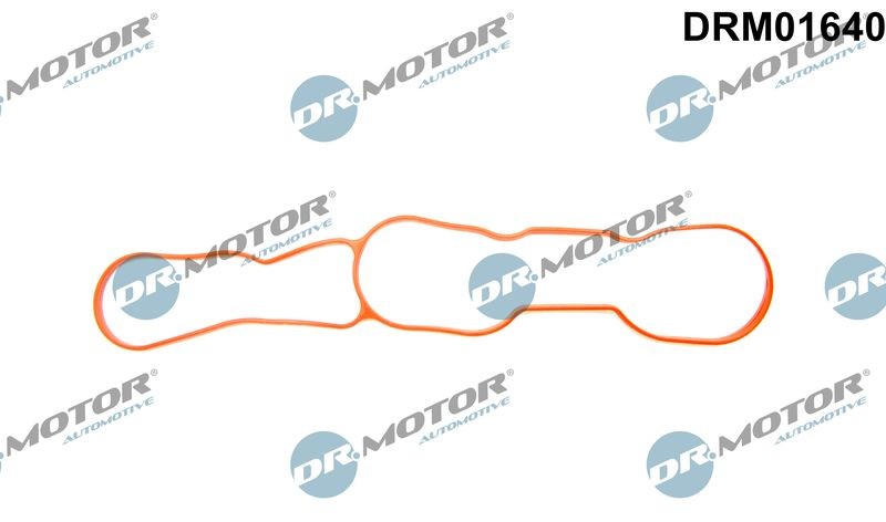 DR.MOTOR AUTOMOTIVE Inlet manifold gasket Article number: DRM01640 cheaply