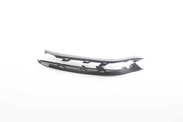 BSG Trim / Protective Strip Set, bumper Article number: BSG 75-927-005 cheaply
