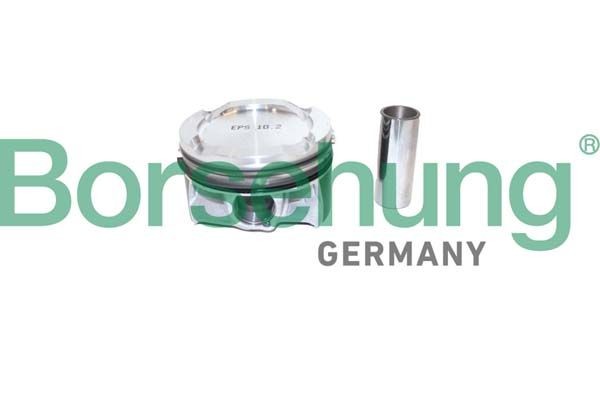 Borsehung Piston Ring Kit Article number: B11137 cheaply